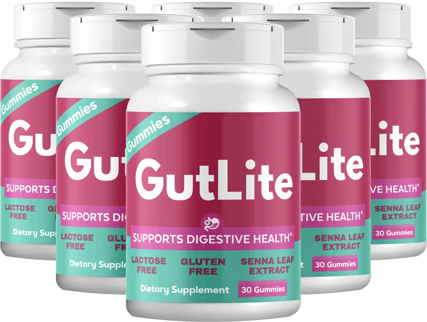 GutLite 6 bottles